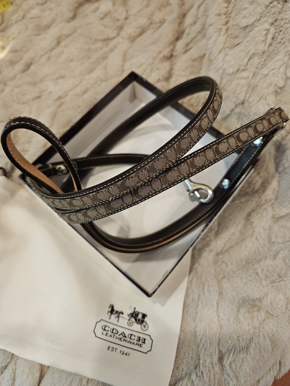 Coach Dog Leash - Small FS4005
